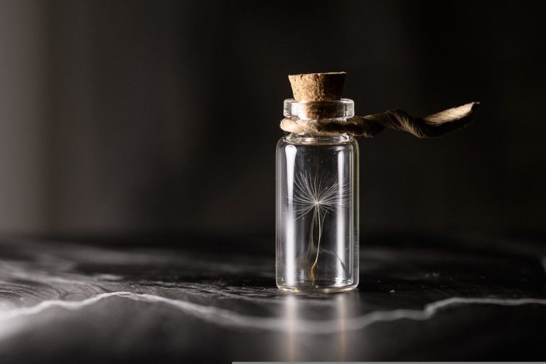 nueva línea de ayudas para impulsar la investigación en gestión de la biodiversidad por valor de 2 millones de euros