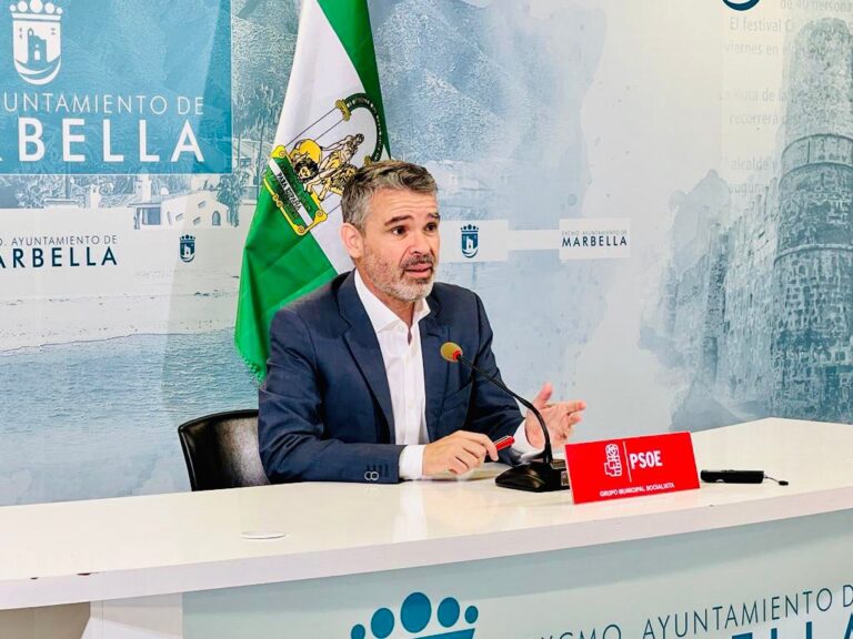 El PSOE apuesta por articular la presencia de nómadas digitales en Marbella