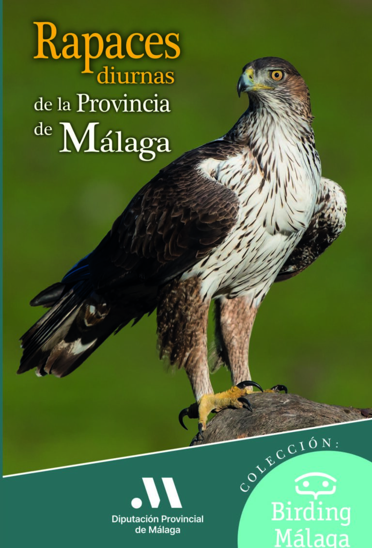 La Diputación edita un libro sobre las 32 especies de aves rapaces que se pueden avistar en la provincia de Málaga