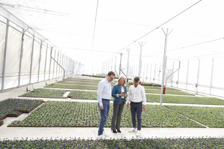 El vivero municipal de Las Chapas ha producido más de 70.000 ejemplares desde su entrada en funcionamiento