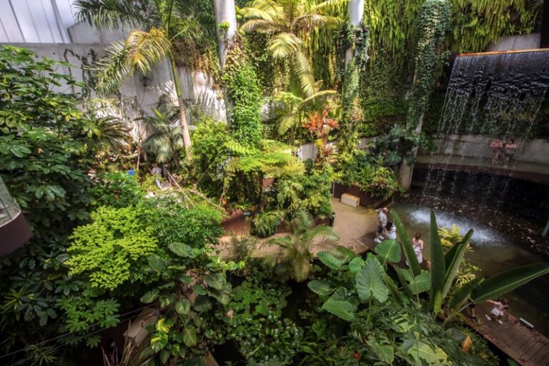 El Orquidario de Estepona registra cifra histórica con más de 54.000 visitantes durante 2024