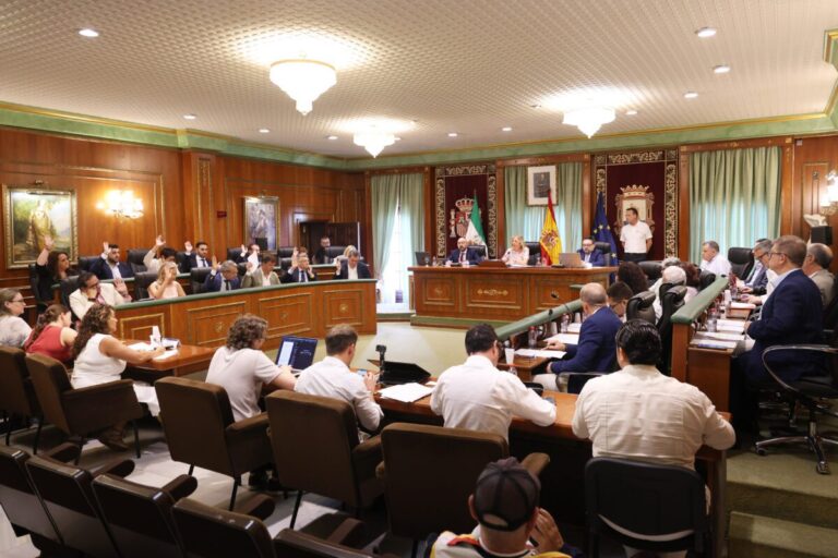 Borrador automático