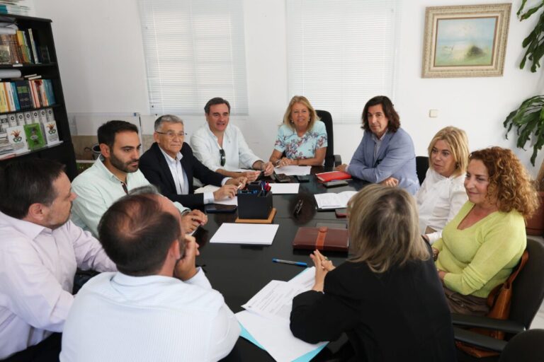Marbella impulsa la construcción de mil viviendas de alquiler temporal con cesión gratuita de parcelas municipales
