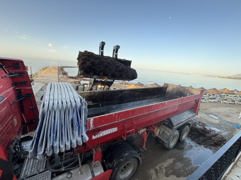 Marbella retira 1.800 toneladas de algas invasoras en quince días con un coste de 139.392 euros